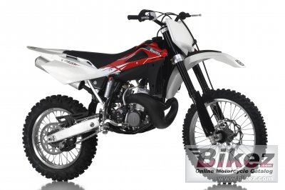 2013 Husqvarna WR300 photo